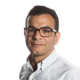 Ahmed Walid