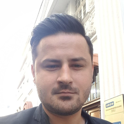 Amer Dizdarevic