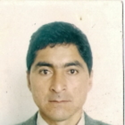 Luis Rojas Tamayo