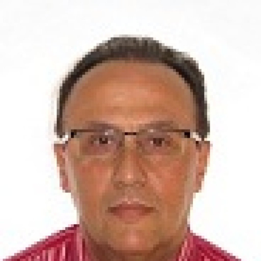 Francisco Javier García Rodríguez Jefe de Planta Cepesa SA. XING
