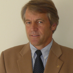 Mario Reinery