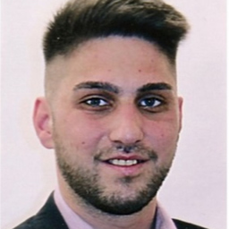 Timur Inan