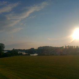 Sonnen Anbeter