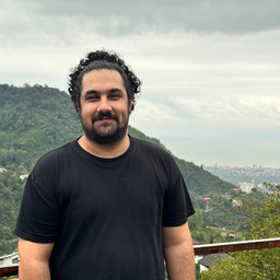 MohammadHossein Salimi