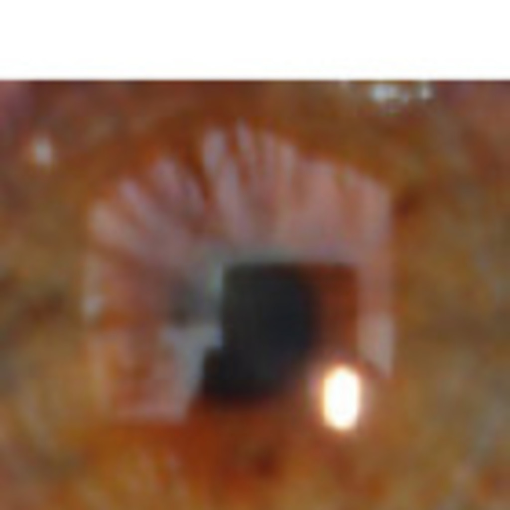 Riccardo Zorn CTO fasterjoomla XING