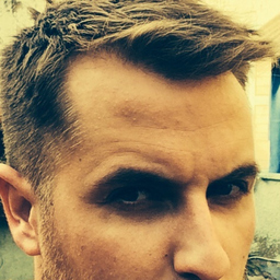 Patrick Steib