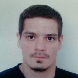 Srdjan Rakita