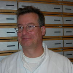 Dr. Armin Rupp