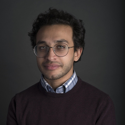 Ahmed Gamaleldin