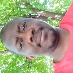Omotosho Adedayo Dennis's profile picture