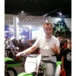 Ingo Braun