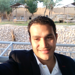 yasser Mohamed