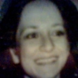 Gül şendil