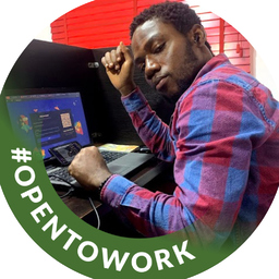 David Ibekwe