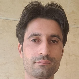 Majid Shafaei