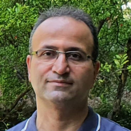 Majid Alipour