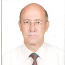 TAYFUN ÖZKAN