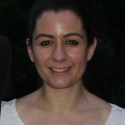 Nese Noyan
