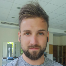 Dominik Huber's profile picture