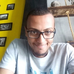 Dipl.-Ing. Mohamed Dhia Jemai