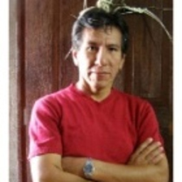 VICTOR HUGO SOTELO MALLJO