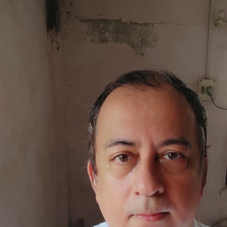 Rajesh V Bagwe