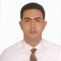 shady fawzy