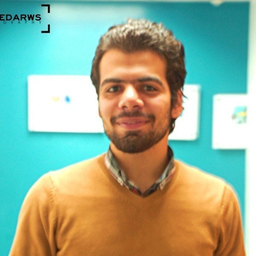 Amr Bassiouny