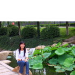 琴 张