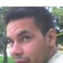 diego bastidas
