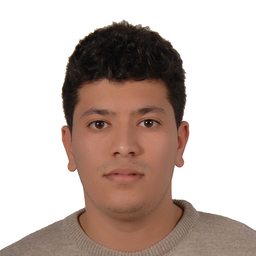 Ahmed Ferjani
