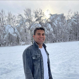 Hazem Mostafa Mohamed Mohamed