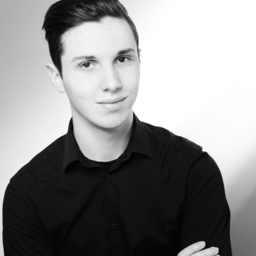 Flavio Goncalves's profile picture