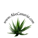 Aloe Canaria