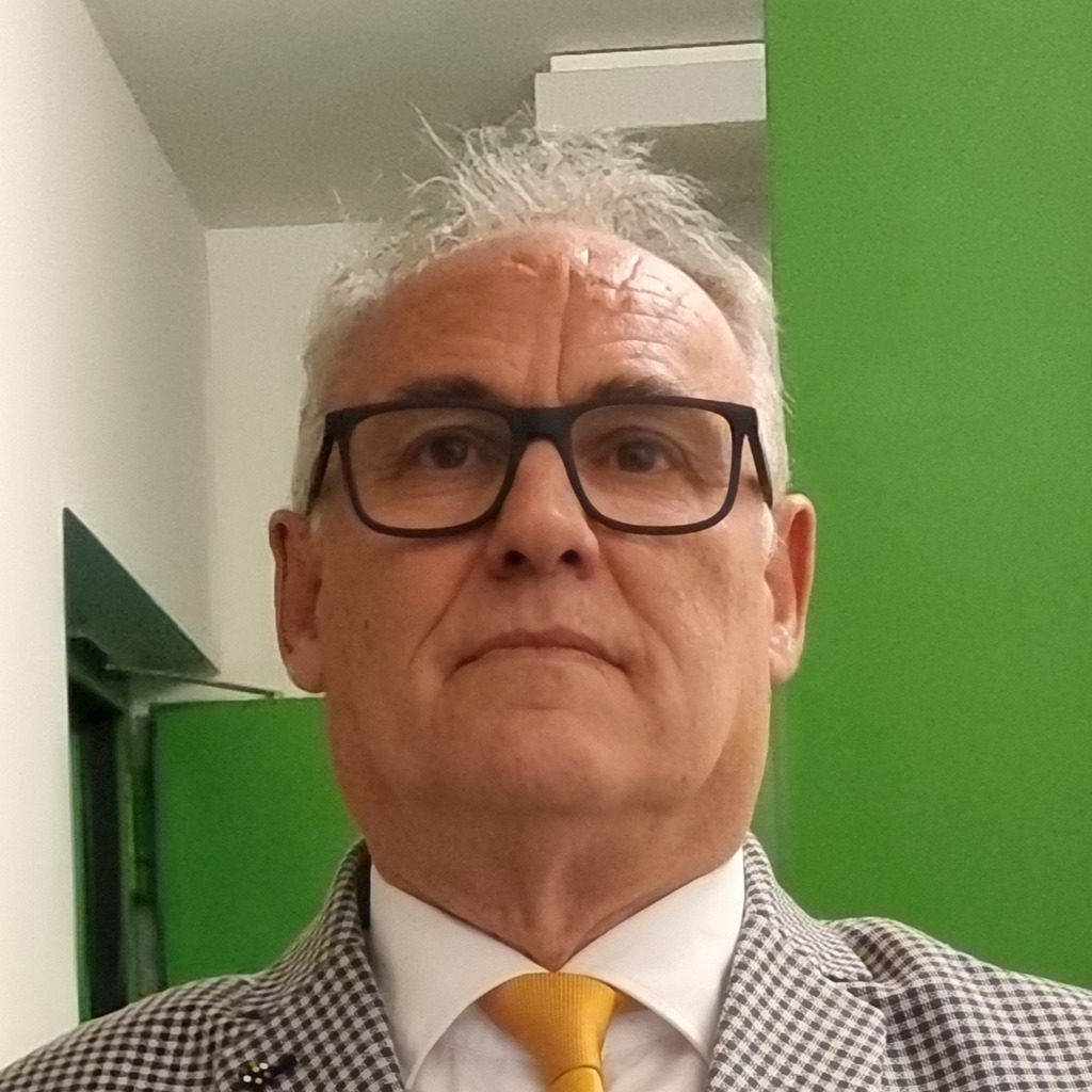 heinrich hafner CEO Hafner Energy from Waste srl XING