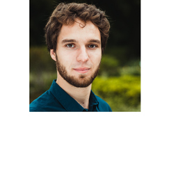 Klemens Ilse