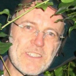 Profilbild Michel Voss