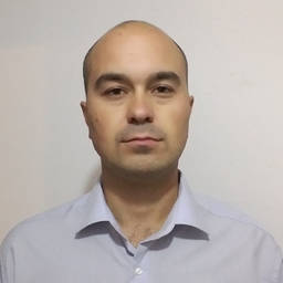 Milić Denić