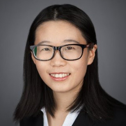 Ing. Huijun Li