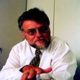 Hermann Koch