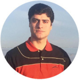 Mohammad Mirzakhanidehkordi