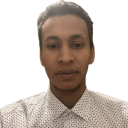 Elmahadi Idrees