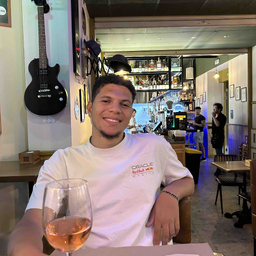 Brian Leandro Peguero Castillo