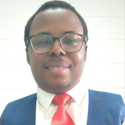 Stephen Femi Ilori