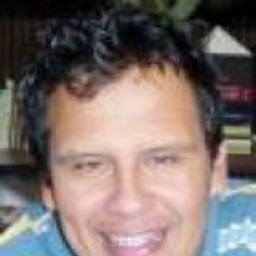 LEONEL CASTANEDA GOMEZ
