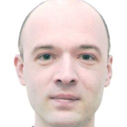 Sergei Ryzhii