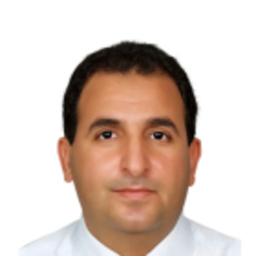Amin El-Meligi