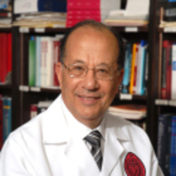 Prof. Dr. Adel Sakr