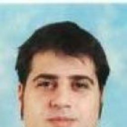 Denis Gaiotto