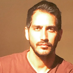 AliReza Erfani